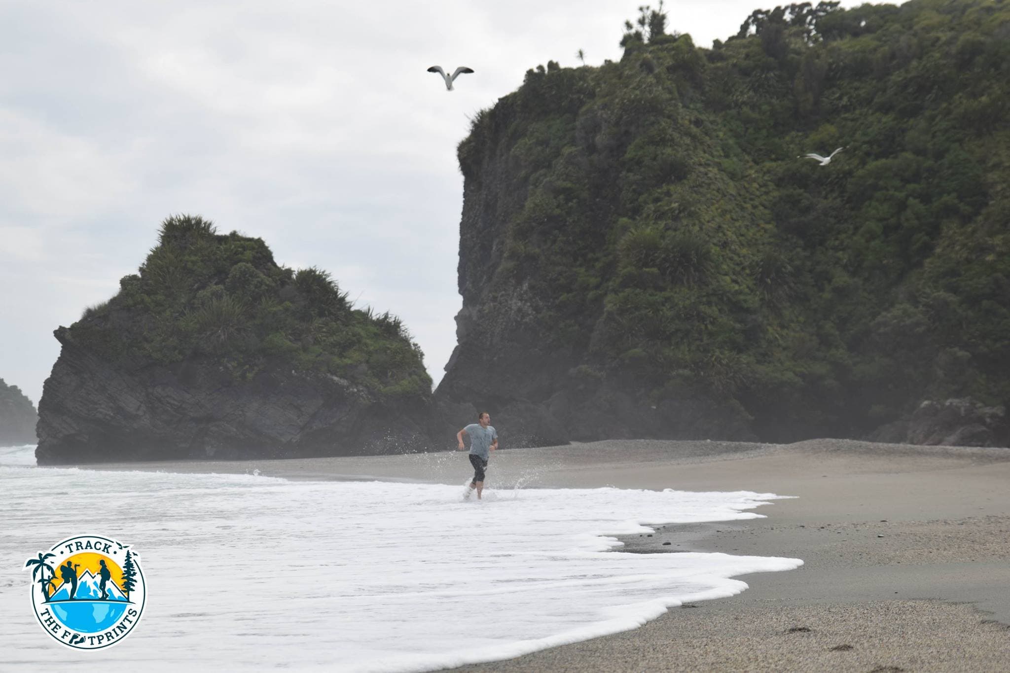Épisode Trois — La Folie des Oiseaux