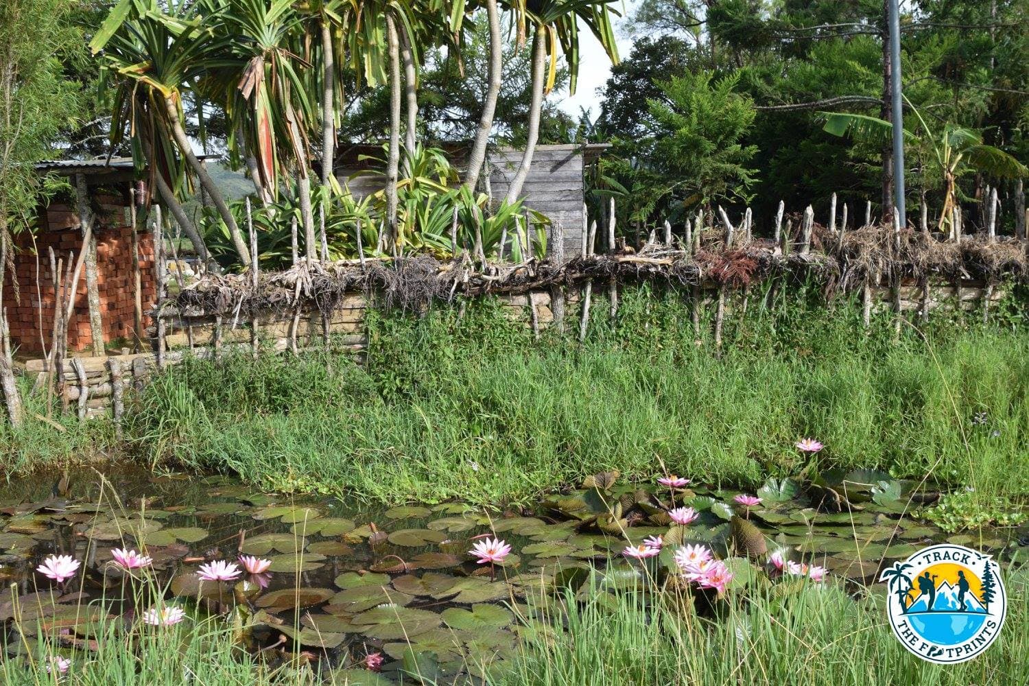 On the way to Woruba village