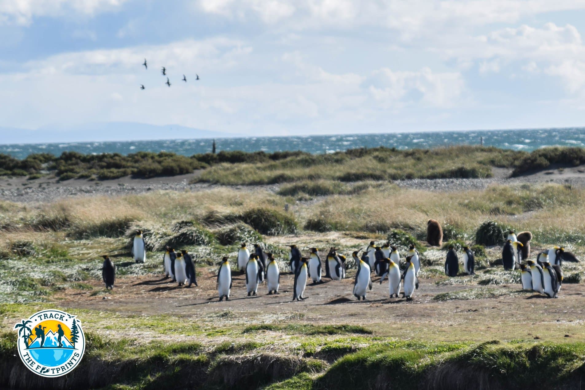 From Natales to Ushuaia: The Last Week of Our World Trip