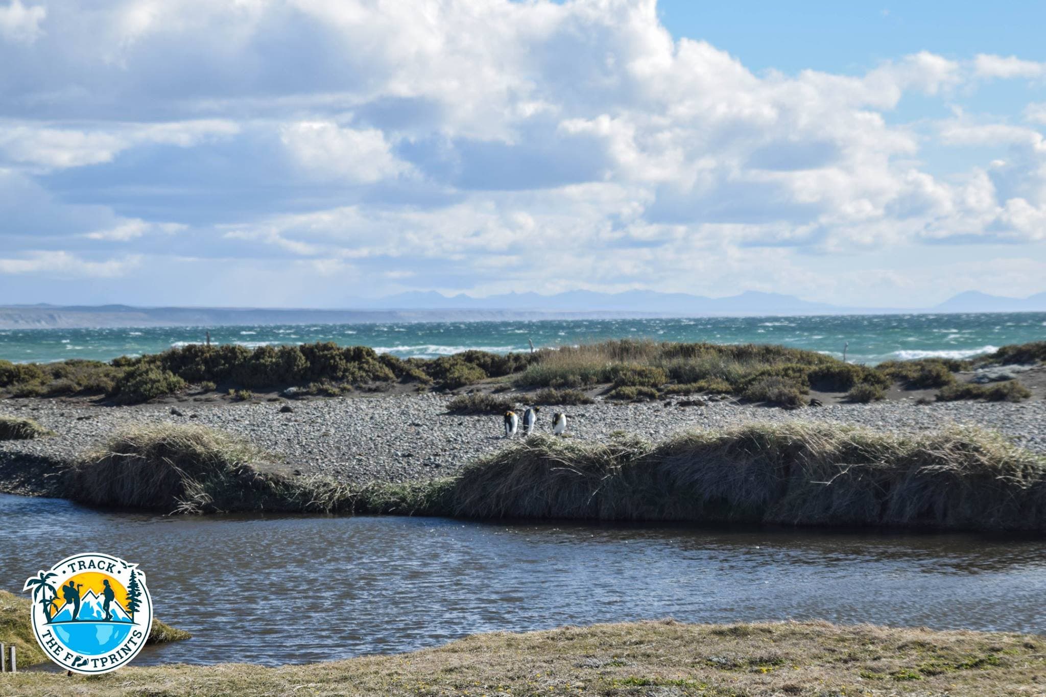 Parque Pingüino Rey